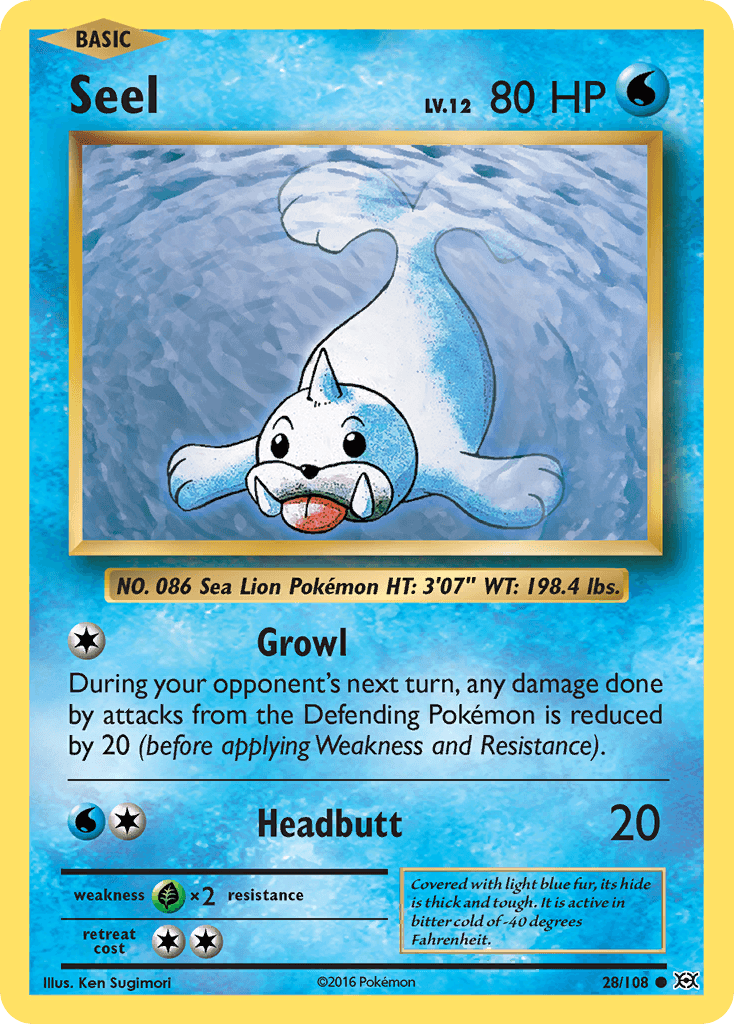 Seel Evolutions