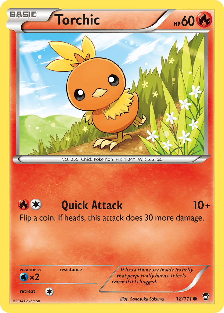 Torchic Furious Fists