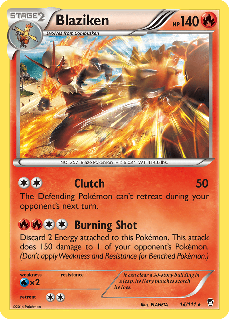 Blaziken Furious Fists