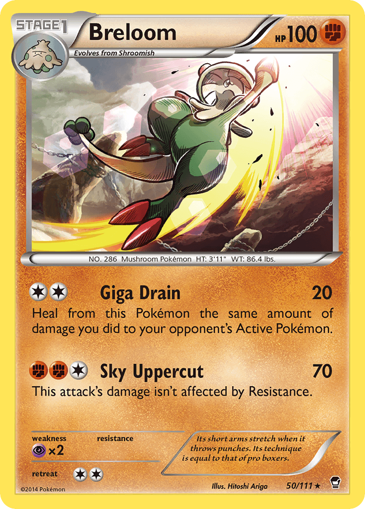 Breloom Furious Fists