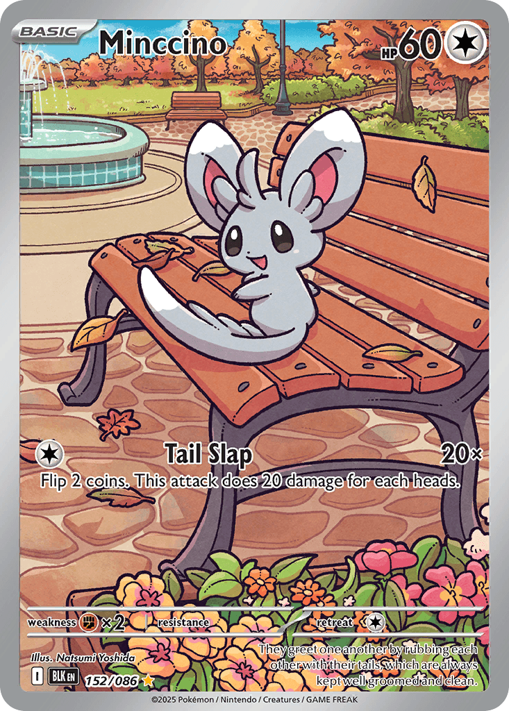Minccino Black Bolt