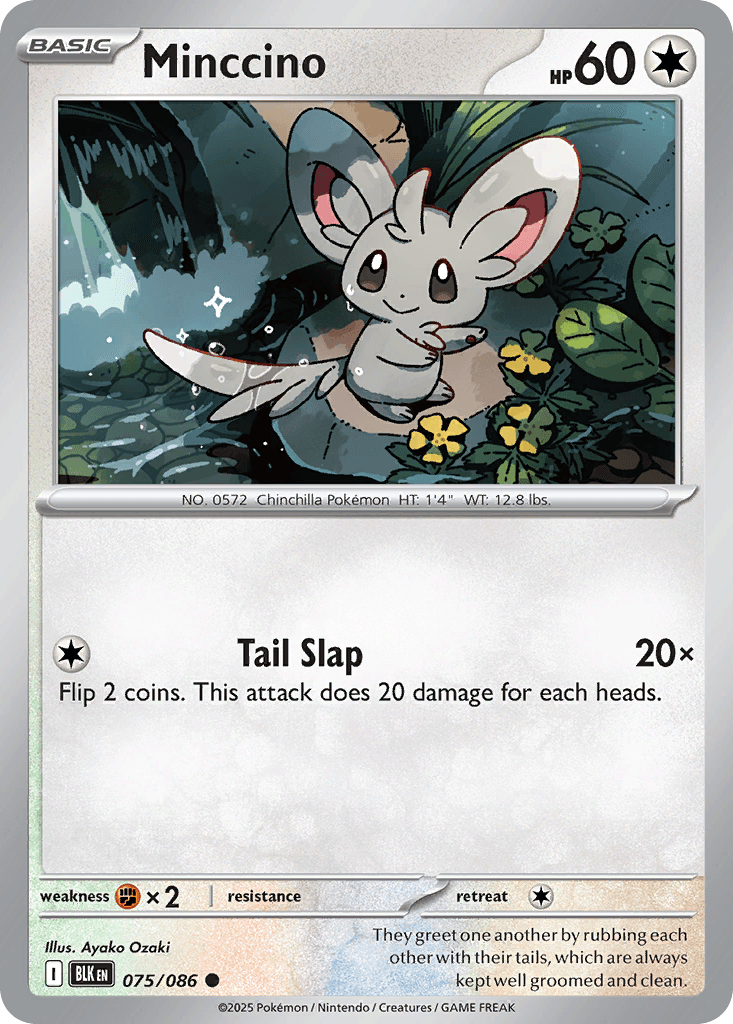 Minccino Black Bolt