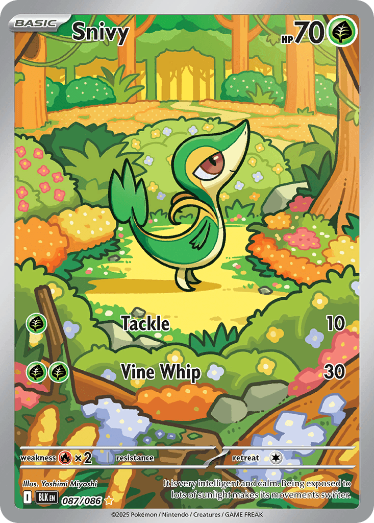 Snivy Black Bolt